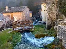 5d566c55_fe6d_4d2f_a092_ddd787eadac0