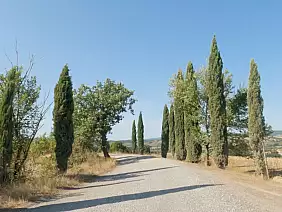 frangicoast.00_08_06_20.still023