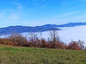 img_20211119_114913_2