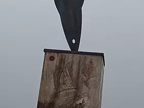 img_20211119_130306_2