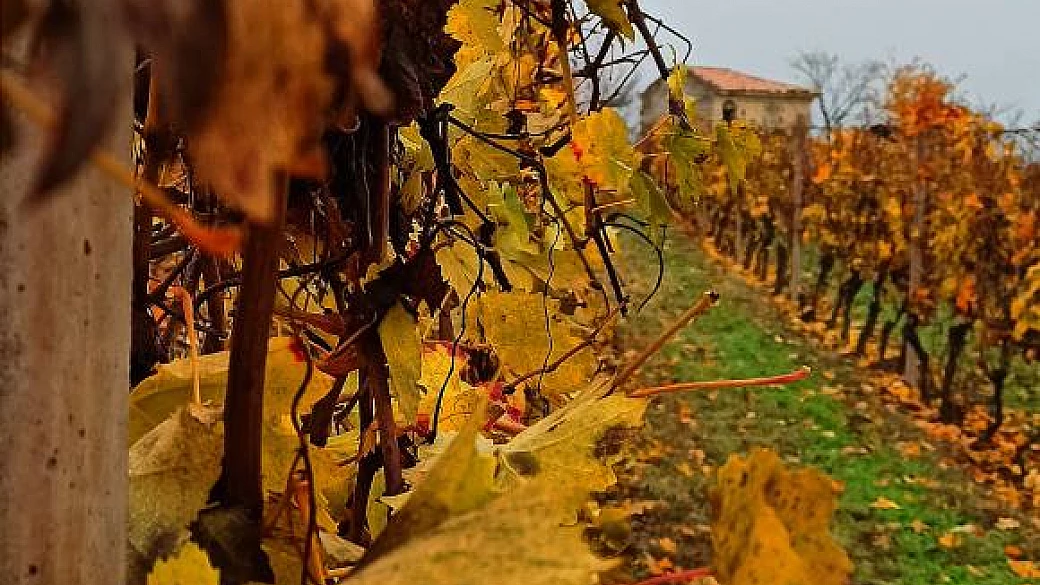 misteri del monferrato