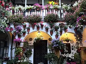 festival_dei_patios_a_cordova