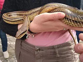 inbound2832665027016349243