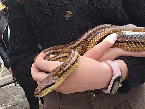 inbound45350533948112653