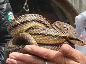 inbound5012769753581382411