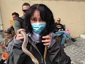 inbound7232610155229099440