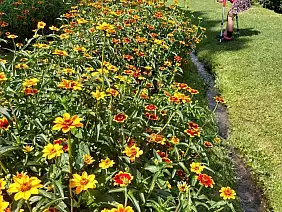 08_parco_dell_orecchiella