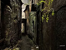 12_tra_i_vicoli_di_cardinale