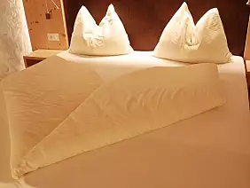 2_gasthof_edelweiss_tires