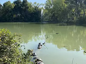 c469a086_f5cc_40fd_864b_254e757bf512