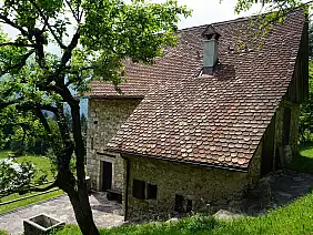 tipicotettocarnicopratocarnico