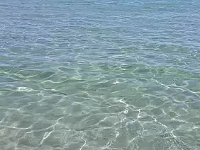 dd5da214_a538_477b_a334_98a58b57f9a1