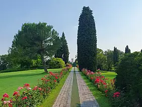 inbound1324736991336513045