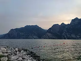 inbound5605871427128259760