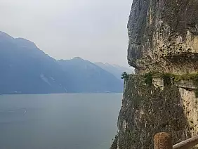 inbound694167720073161883