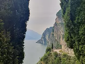 inbound7021685054833731739