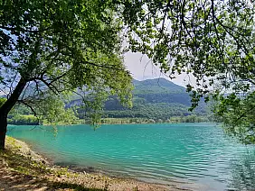 inbound8201758066177809449