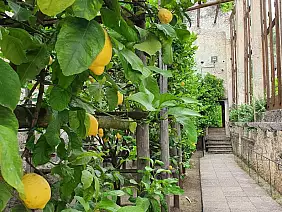 inbound8579329646361012170