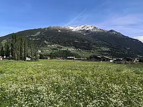 prati_fioriti_a_bormio