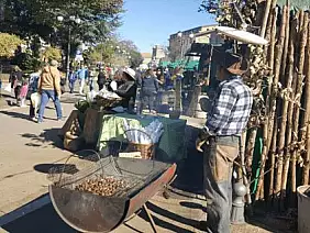 sagra_castagna_roccamonfina