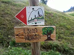 segnaviacamminopieviebosco