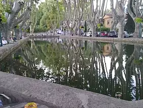 296039074_903507967709155_3256641965301058193_n