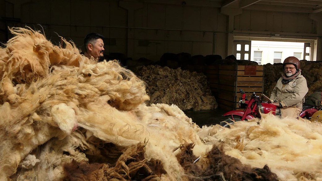 patrizio e chef hiro da wool company