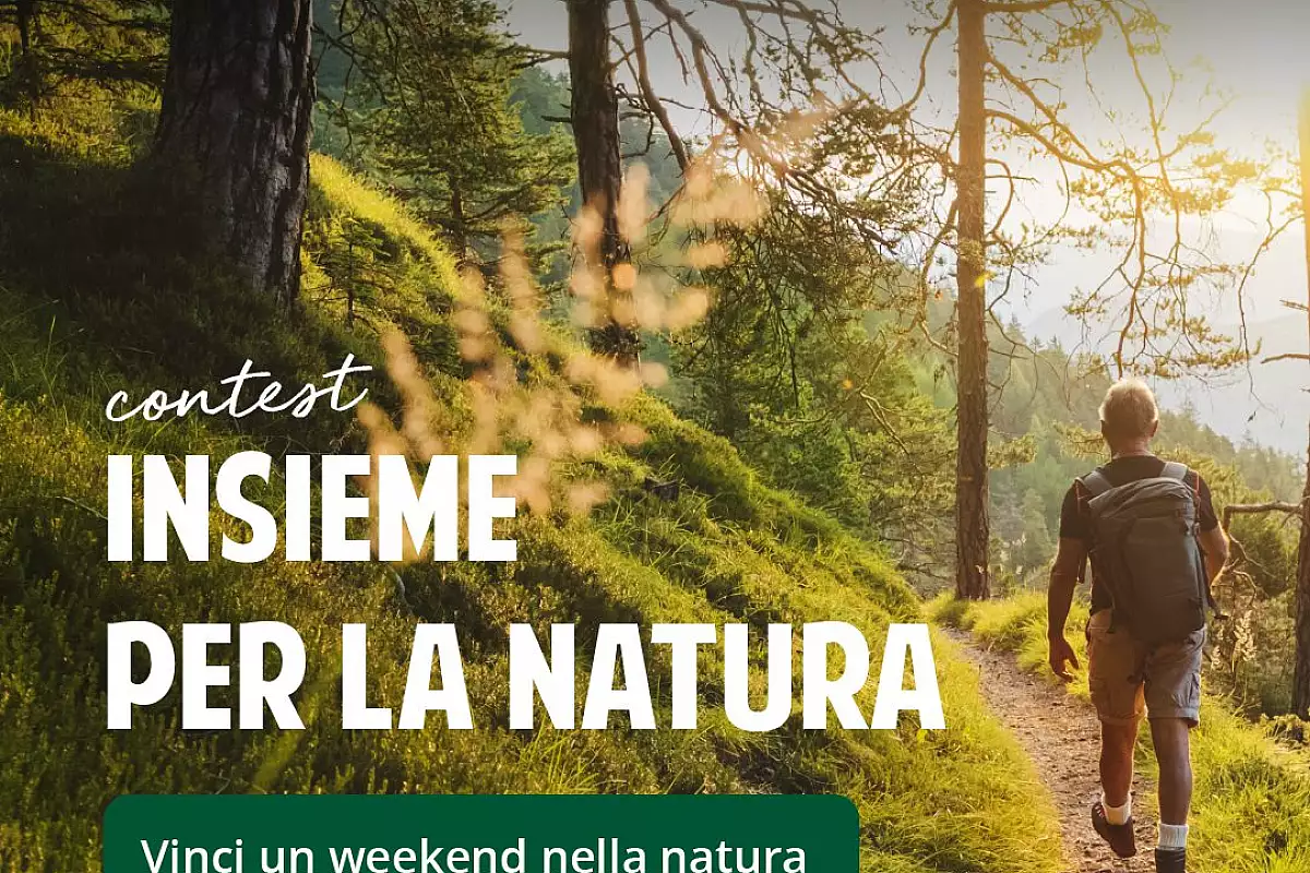 turistipercaso
