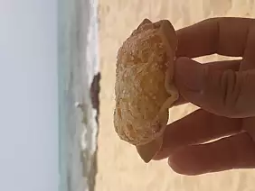 inbound1475721721640817746