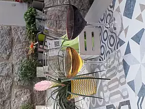 inbound3424369334796404094