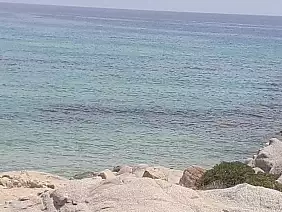 inbound8410779811174417362