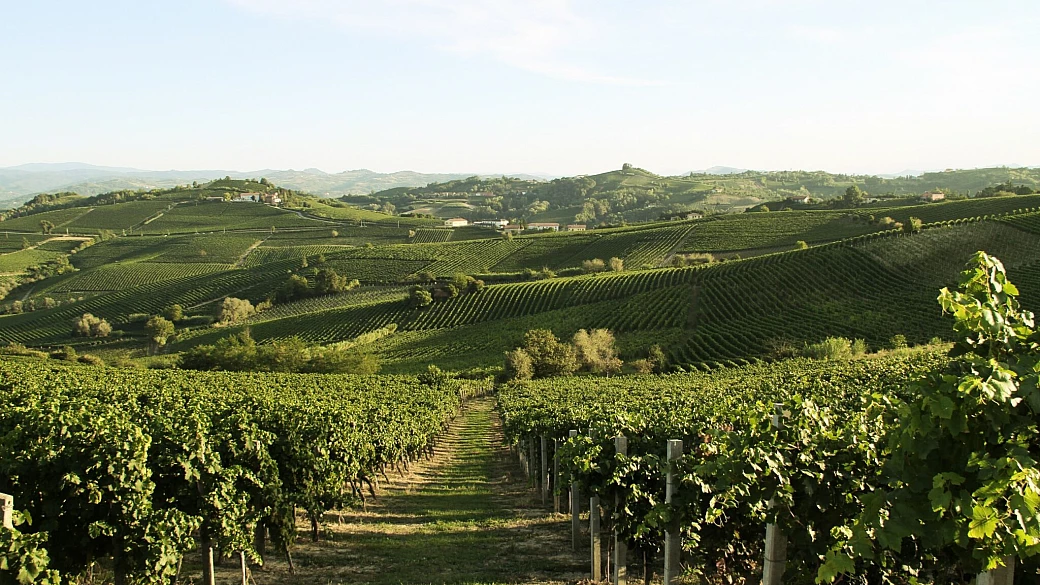 acqui terme e il brachetto di acqui docg