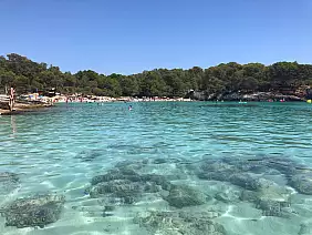 whatsapp_image_2022_08_13_at_13.06.07