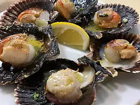 whatsapp_image_2022_08_13_at_13.06.15