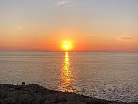 whatsapp_image_2022_08_13_at_13.11.47