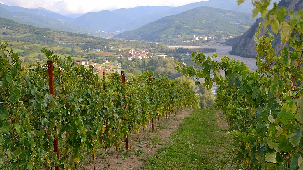 tortona e il derthona