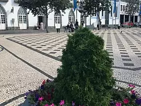 angra_do_heroismo_2_isola_di_terceira