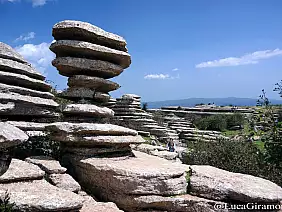 tornillo_del_torcal