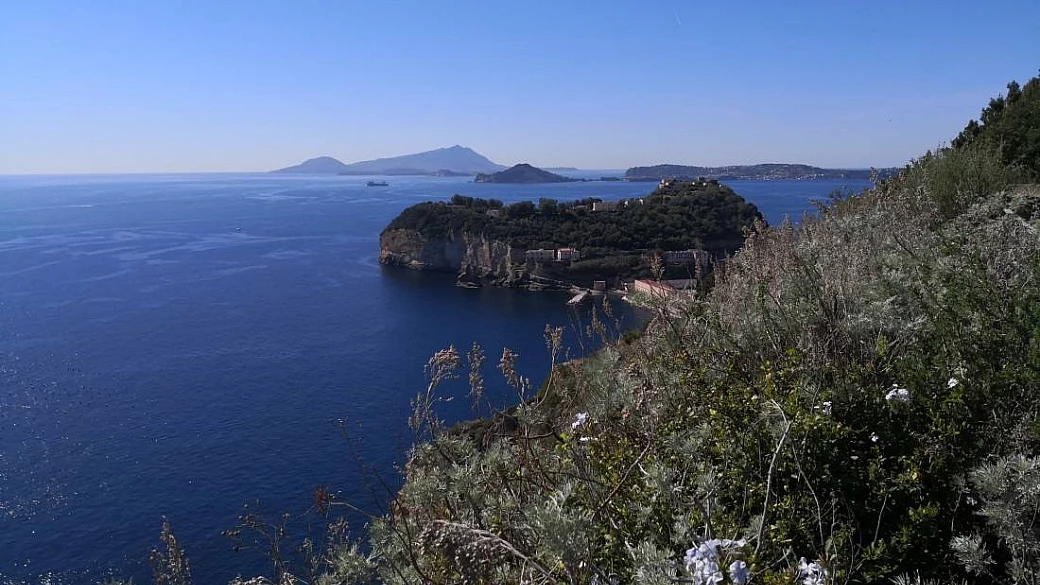 vedi napoli e poi...