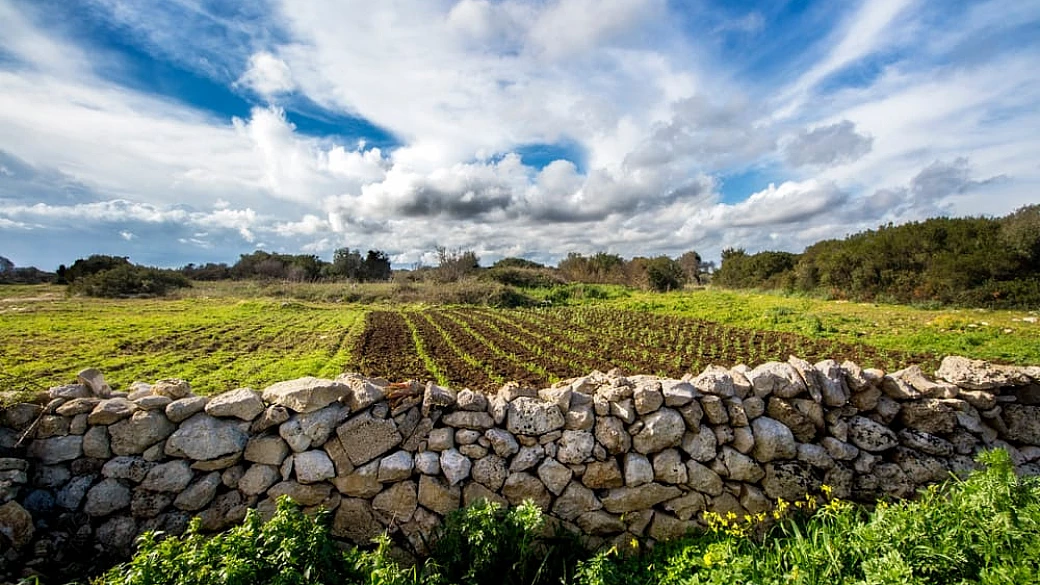 salento, sapori e colori di una terra meravigliosa