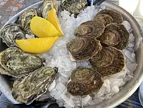 img_9305_media_media