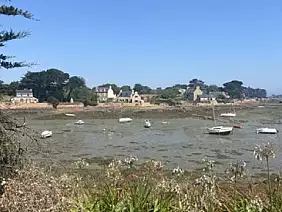 img_9851_media_media