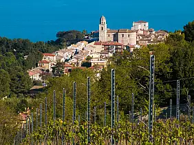 beautiful,view,of,sirolo,town,from,the,vineyard