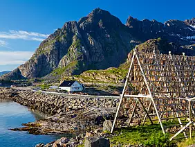 henningsvaer,village,,lofoten,islands,,norway,,traditional,drying,cod,,drying,on