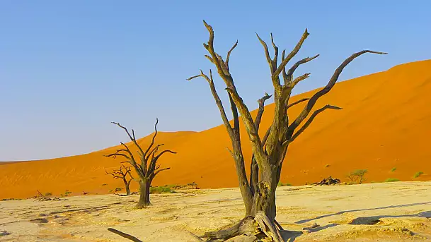 namibia on the road in automobile: viaggio tra deserto, parchi e riserve naturali