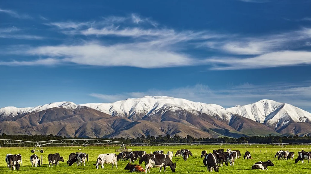 nuova zelanda, tutta la magia del posto più lontano