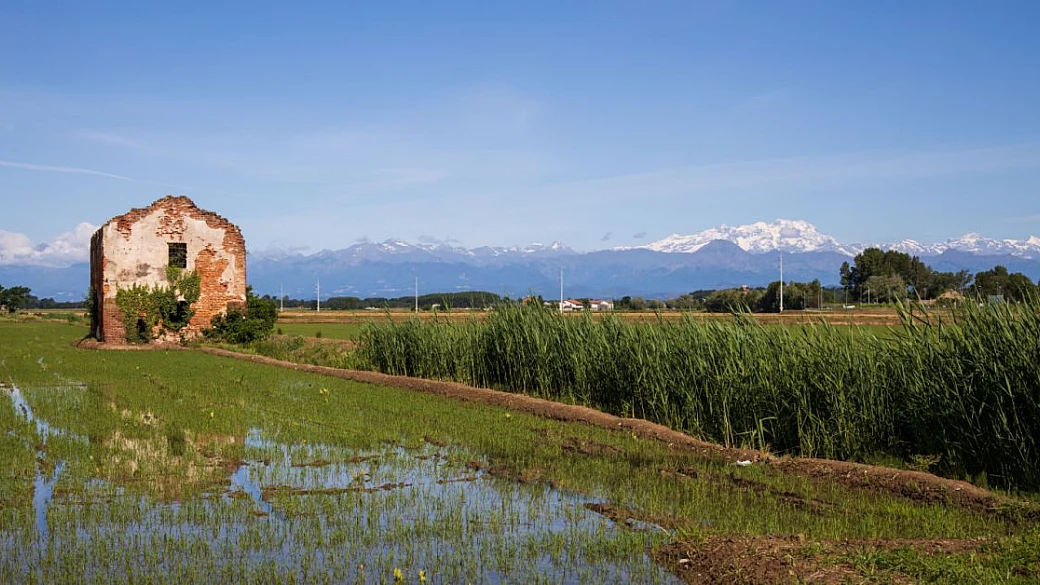 non solo pasta: viaggio nella riso experience italiana tra territori e ricette tipiche