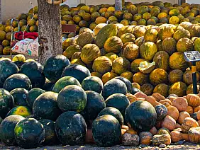 meloni_lungo_la_strada