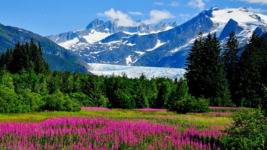 alaska: scopri cinque particolari curiosità su questa valle incantata