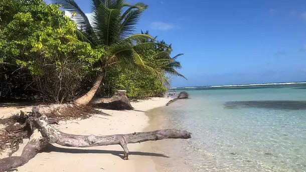 spiagge, voli e vento: guida utile a guadalupe, la francia 'caraibica'